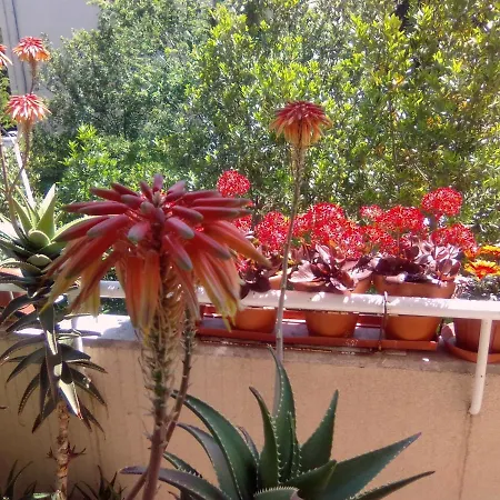 Guest house Baba Lazanja
